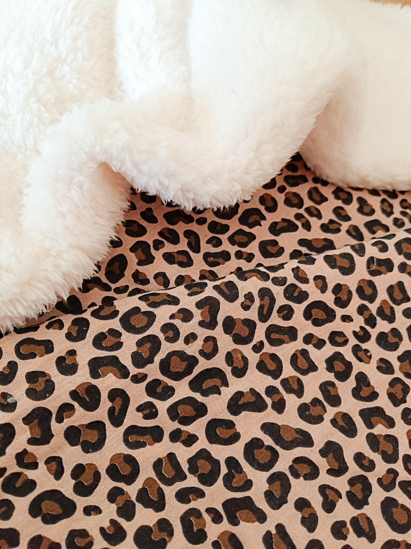 Couverture graou
